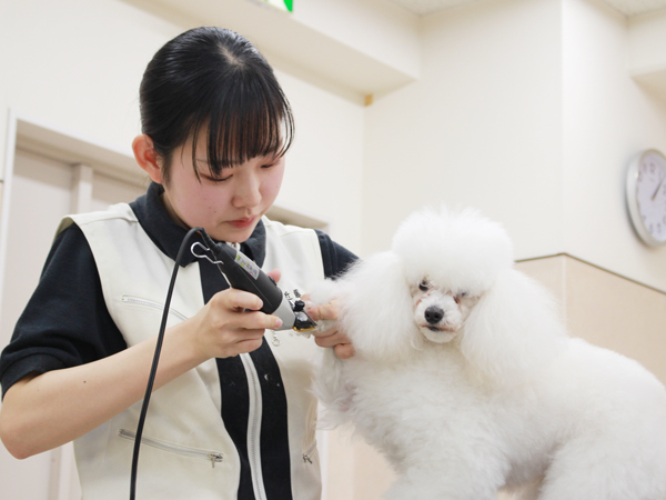 ☆生徒競技会☆午後の部～ＰＡＲＴ①～